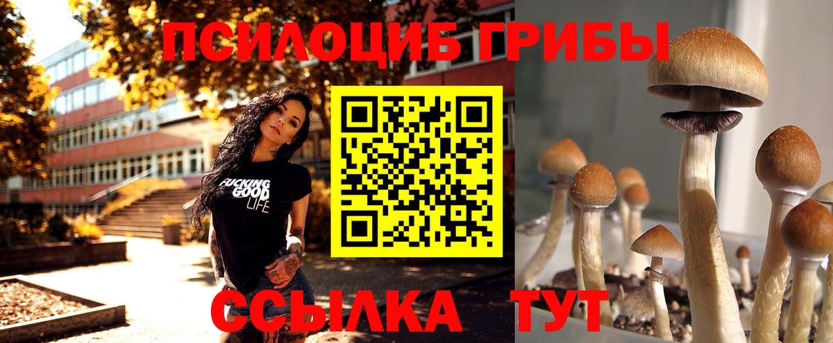 Псилоцибиновые грибы ЛСД Петропавловск-Камчатский
