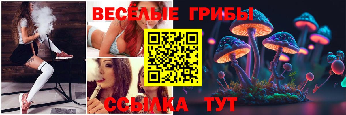 Галлюциногенные грибы прущие грибы  Псилоцибиновые грибы Magic Shrooms  Вход с VPN  где можно купить наркотик  Петропавловск-Камчатский 